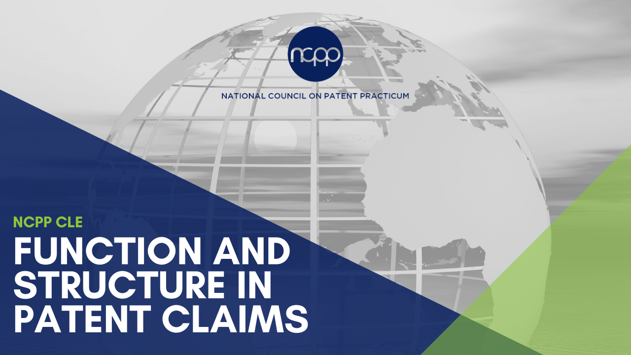 Function and Structure in Patent Claims - The National Council on ...